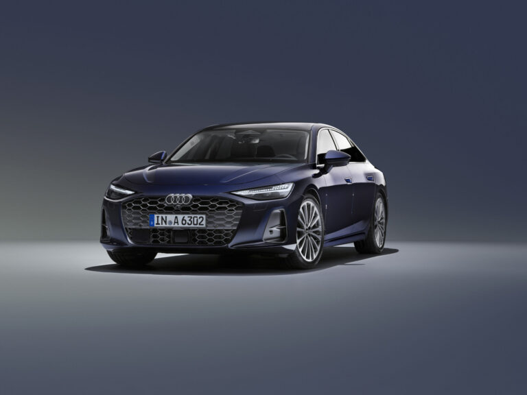 Kraftstoffeinspritzdüsen- und AGR-Ventil-Probleme Audi A6