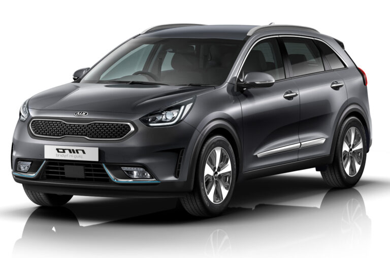 EGR-Ventildefekte beim Kia Niro