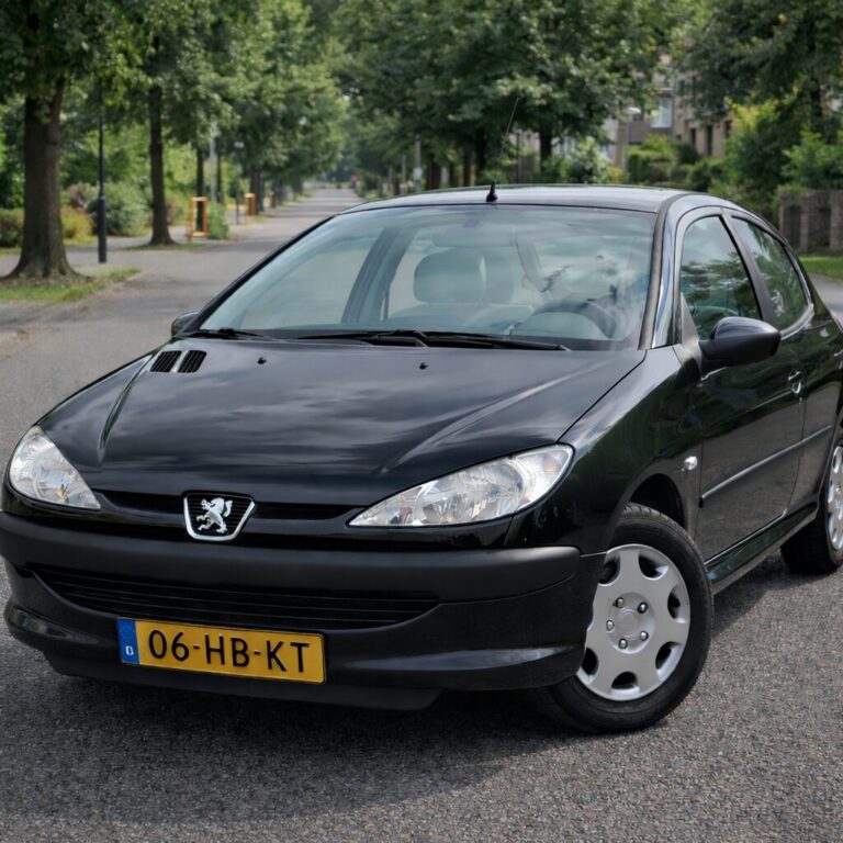 Kraftstoffprobleme Peugeot 206: häufiger elektrisch als mechanisch