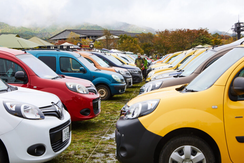 Turbolader und Dieselinjektoren Renault Kangoo